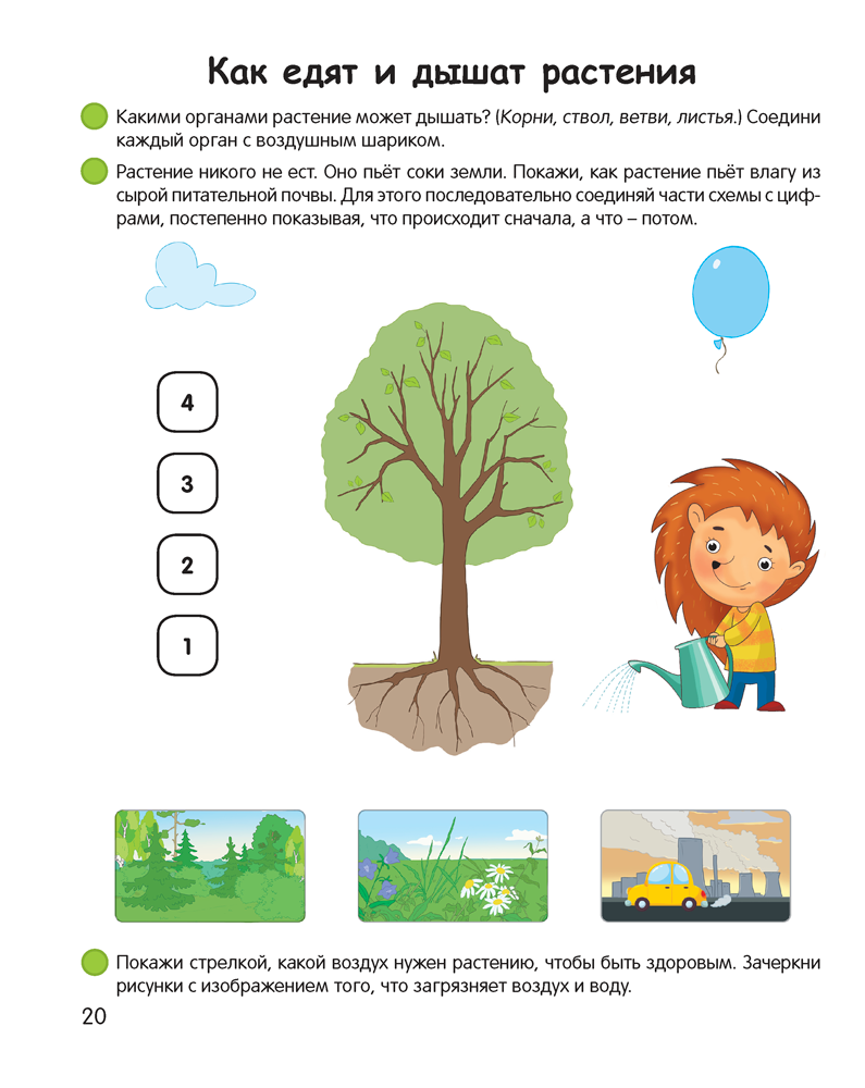 Умней-ка. 5—6 лет. Экологическая мозаика