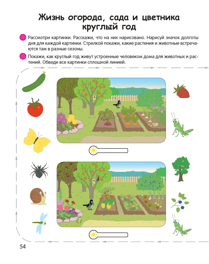 Умней-ка. 5—6 лет. Экологическая мозаика
