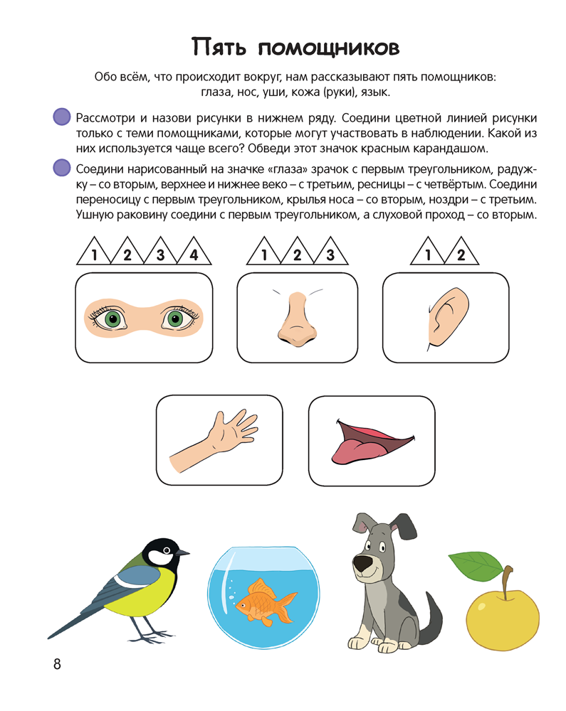 Умней-ка. 5—6 лет. Экологическая мозаика