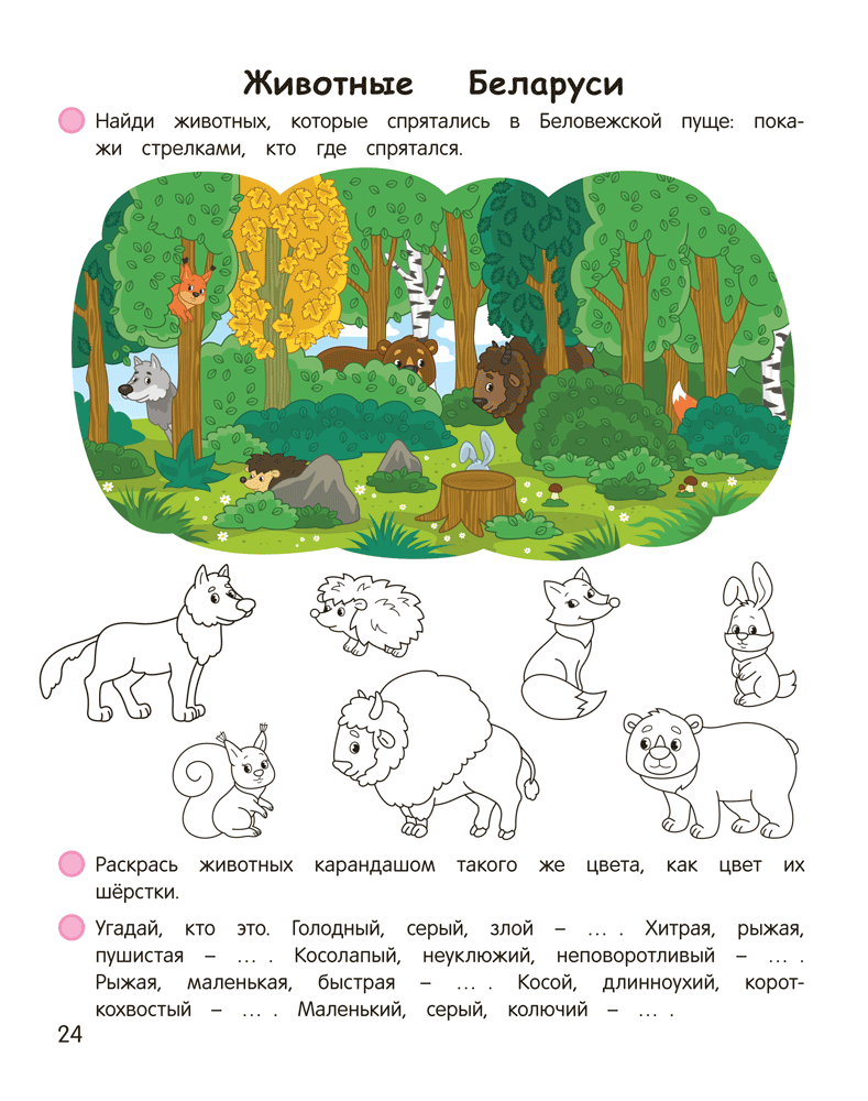 Умней-ка. 5—6 лет. Мир вокруг