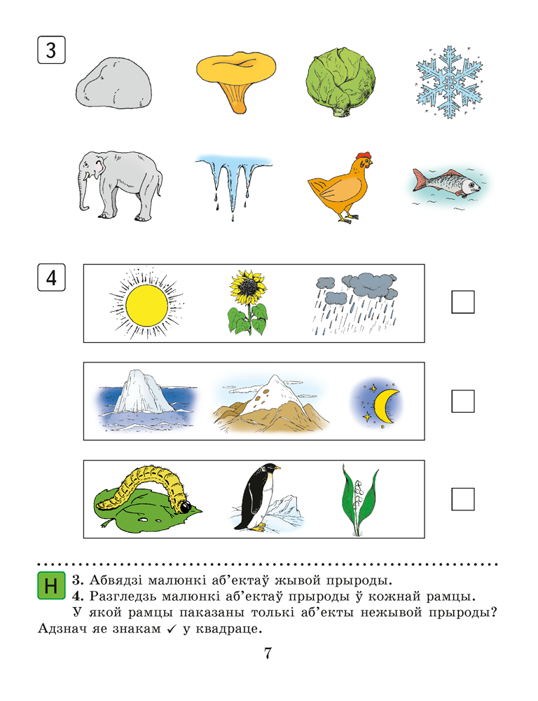 Чалавек і свет. 1 клас. Рабочы сшытак