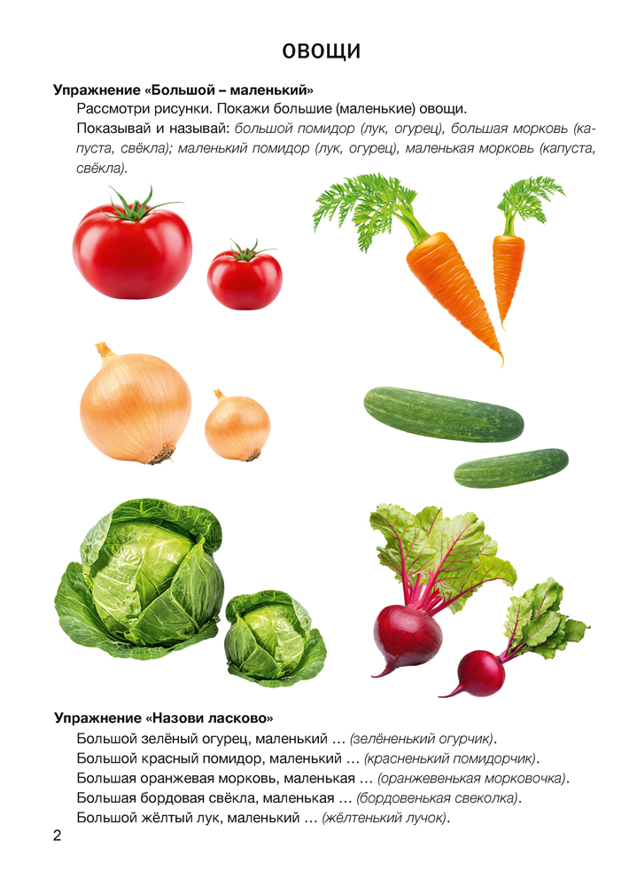 Играем вместе с логопедом. Развитие речи: лексика и грамматика. В двух частях. Часть 1