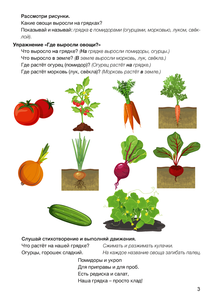 Играем вместе с логопедом. Развитие речи: лексика и грамматика. В двух частях. Часть 1