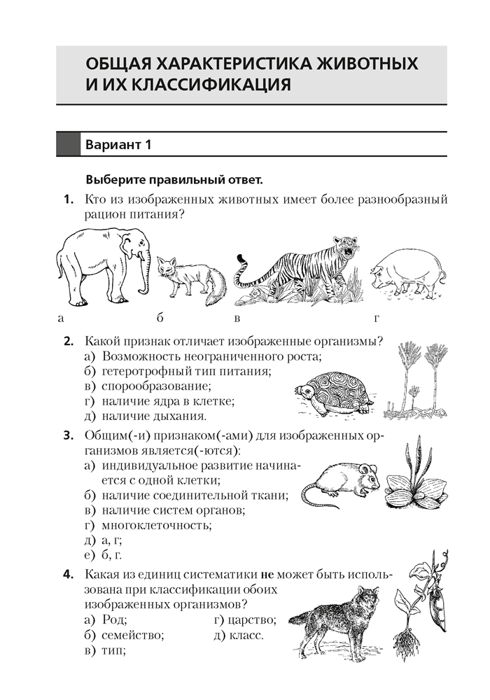 Биология. 8 класс. Тестовые задания