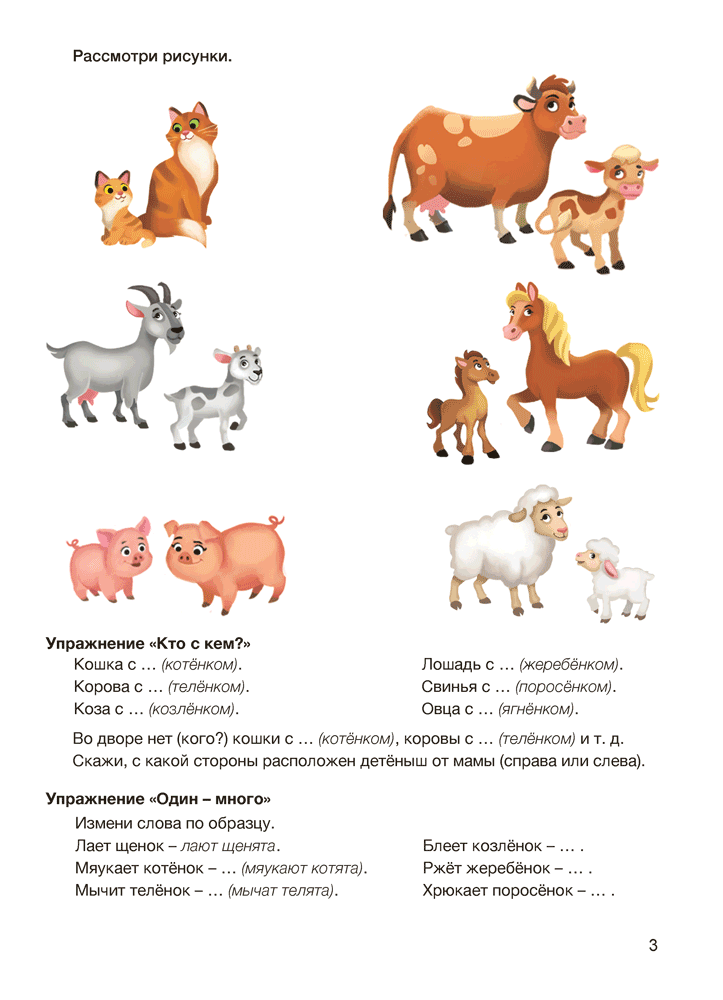 Играем вместе с логопедом. Развитие речи: лексика и грамматика. В двух частях. Часть 2