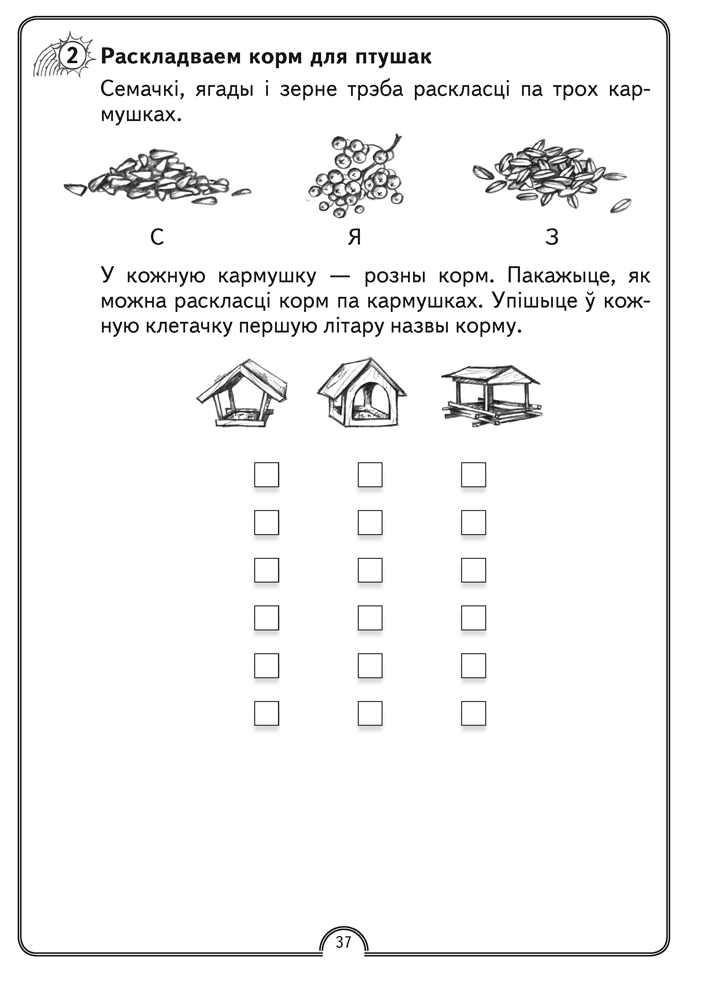 Матэматычная вясёлка. Факультатыўныя заняткі. 1 клас. Рабочы сшытак