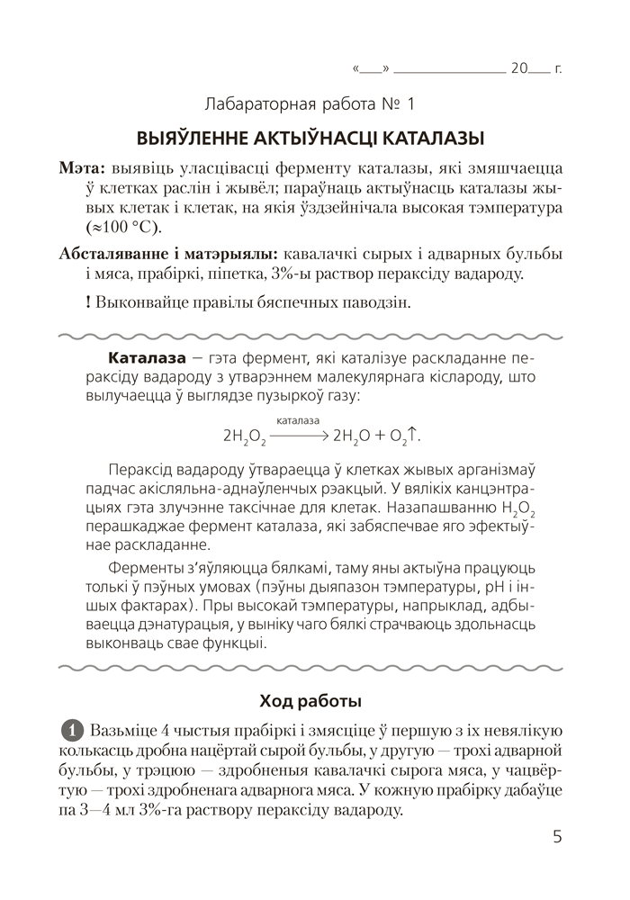 Сшытак для лабараторных і практычных работ па біялогіі для 11 класа. Базавы ўзровень