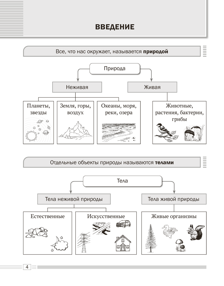 Биология. 6 класс. Опорные конспекты, схемы и таблицы