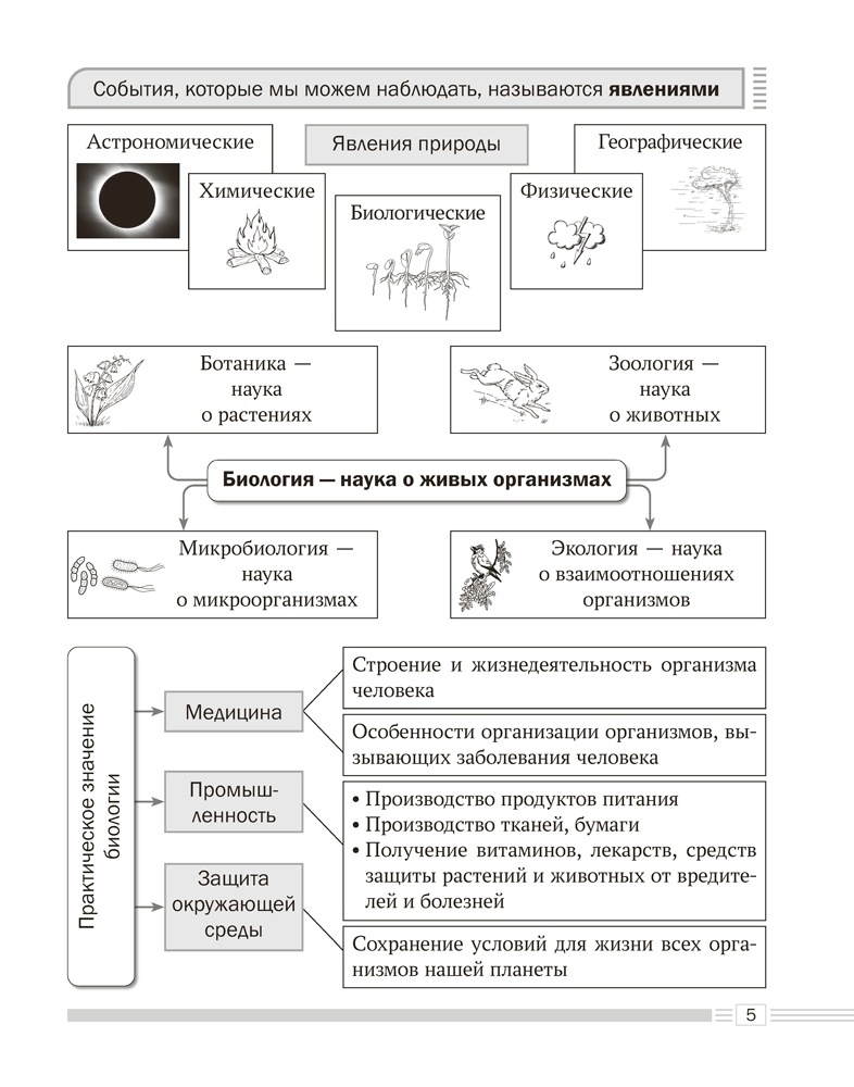 Биология. 6 класс. Опорные конспекты, схемы и таблицы