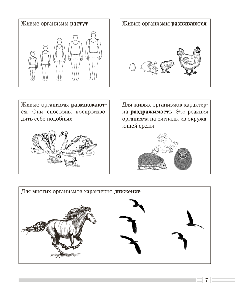 Биология. 6 класс. Опорные конспекты, схемы и таблицы