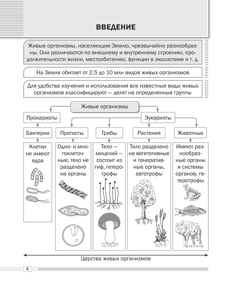 Биология. 7 класс. Опорные конспекты, схемы и таблицы