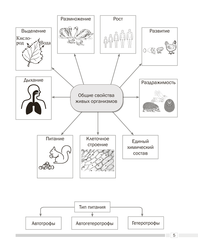 Биология. 7 класс. Опорные конспекты, схемы и таблицы