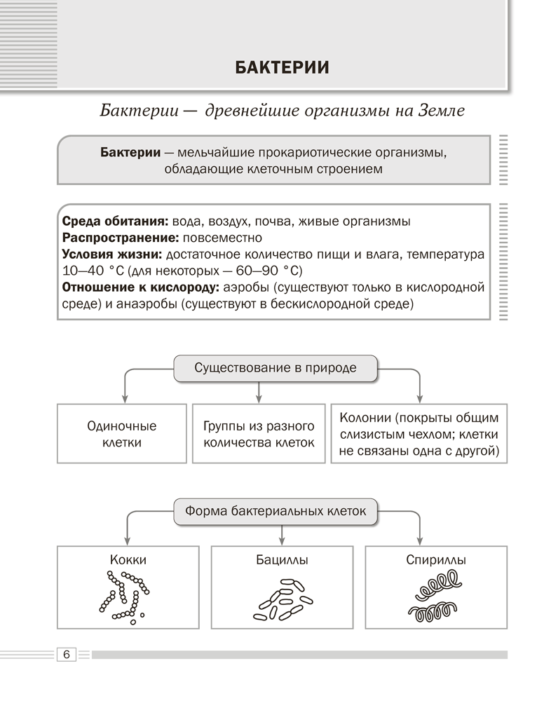 Биология. 7 класс. Опорные конспекты, схемы и таблицы