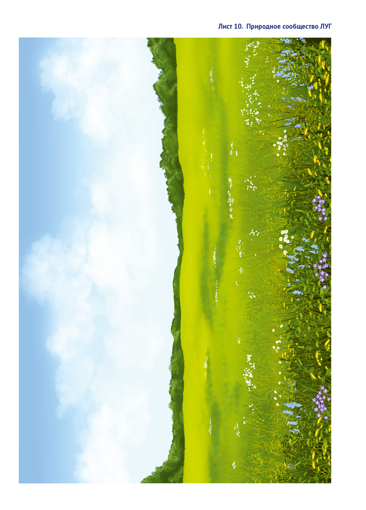 Природа в развитии и воспитании детей дошкольного возраста. 5—7 лет. Учебное наглядное пособие