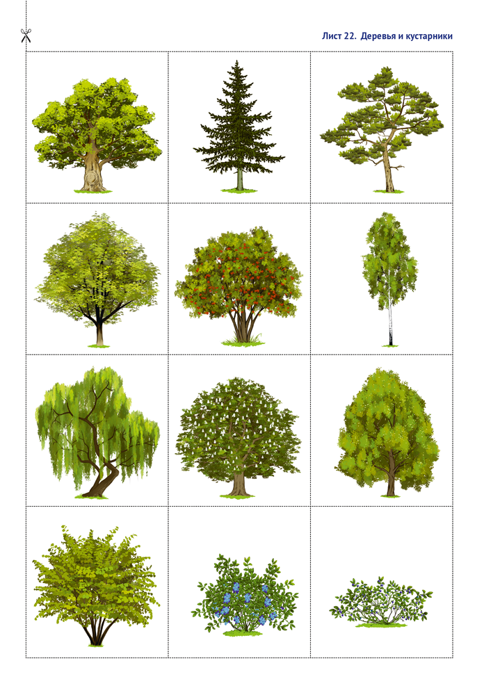 Природа в развитии и воспитании детей дошкольного возраста. 5—7 лет. Учебное наглядное пособие