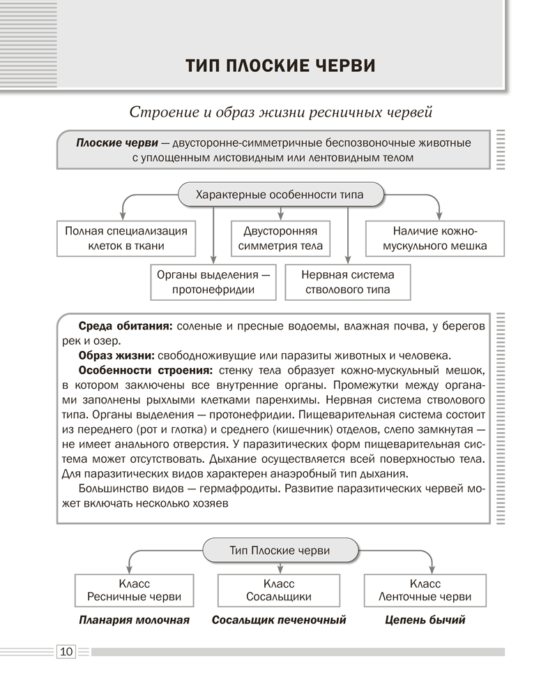 Биология. 8 класс. Опорные конспекты, схемы и таблицы