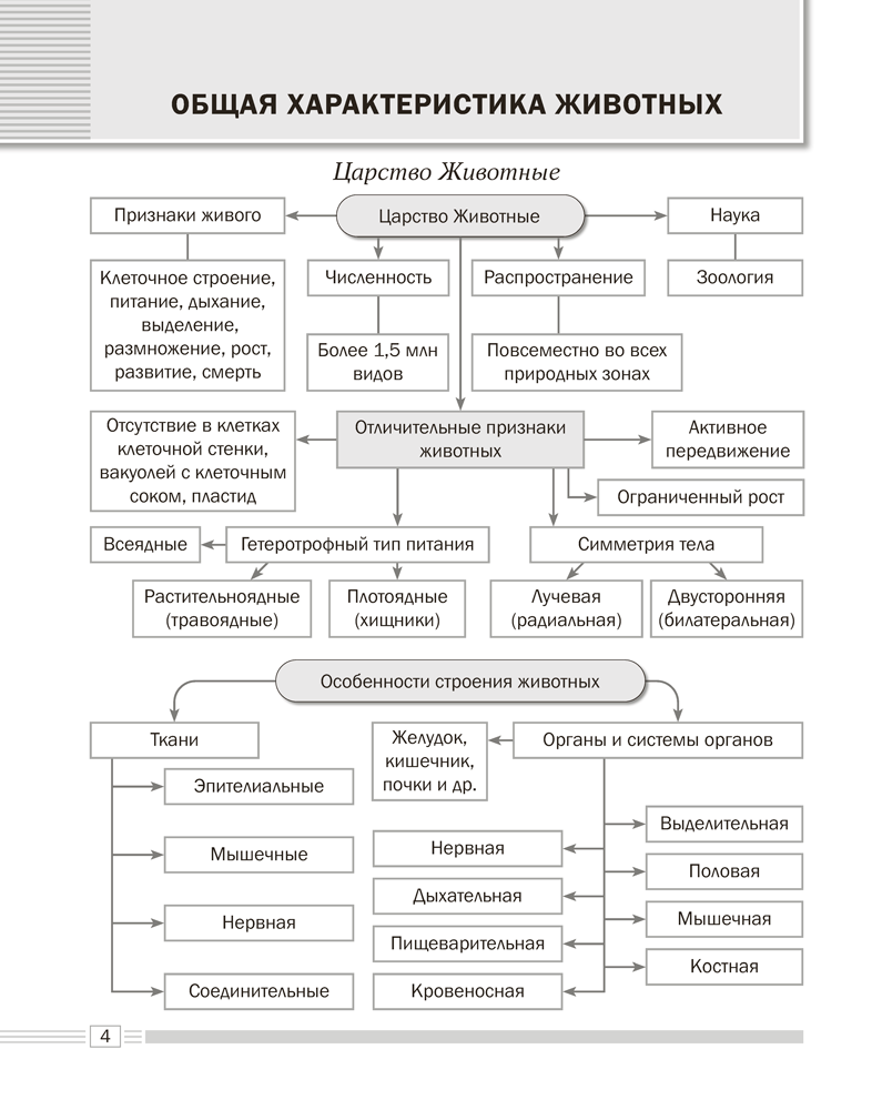 Биология. 8 класс. Опорные конспекты, схемы и таблицы
