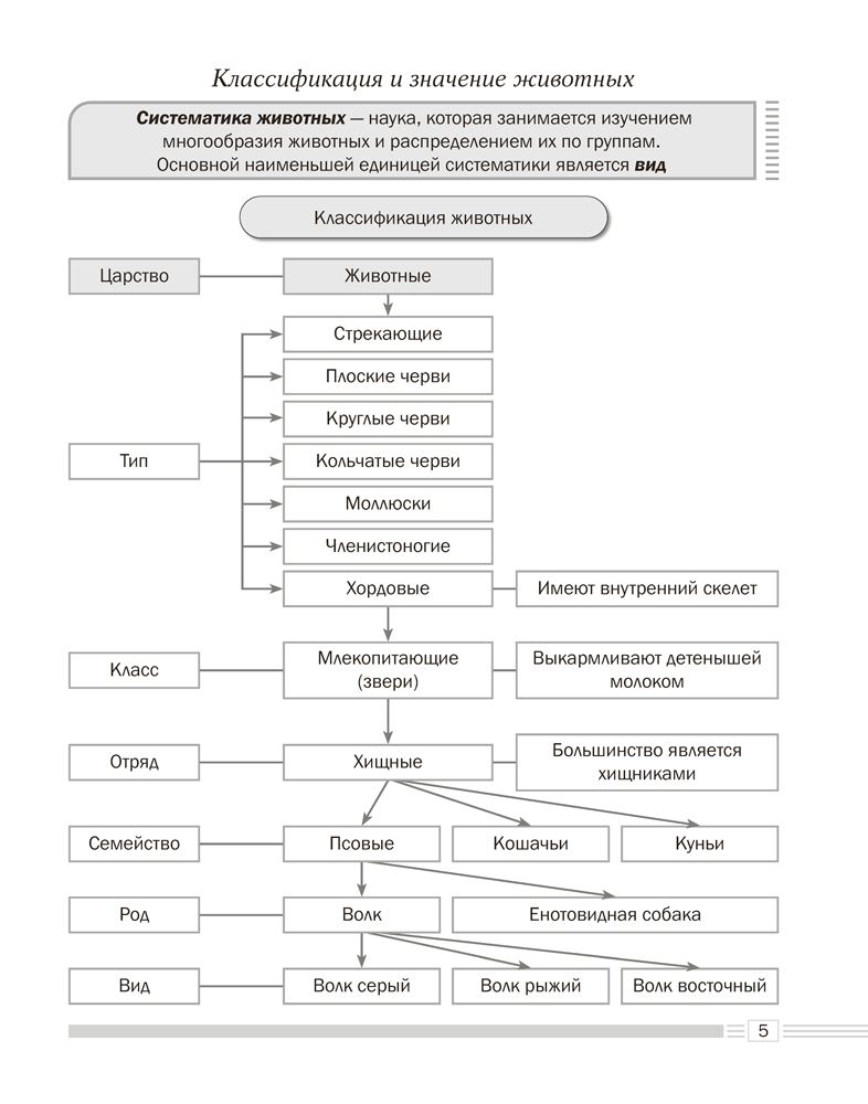 Биология. 8 класс. Опорные конспекты, схемы и таблицы
