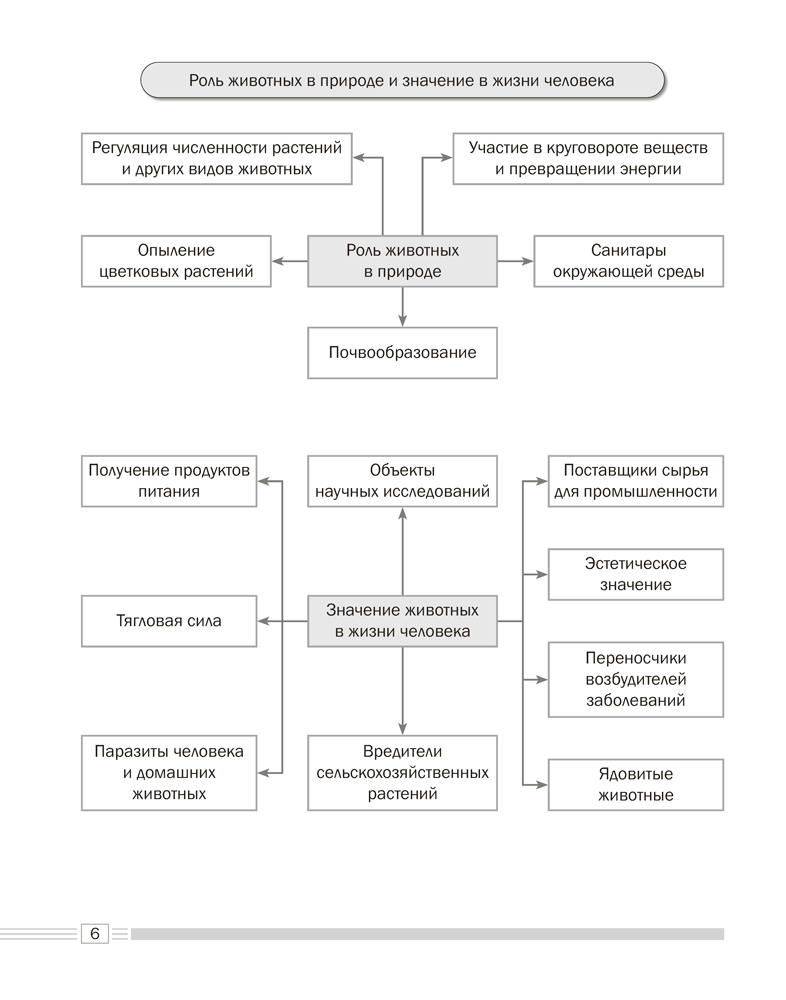 Биология. 8 класс. Опорные конспекты, схемы и таблицы