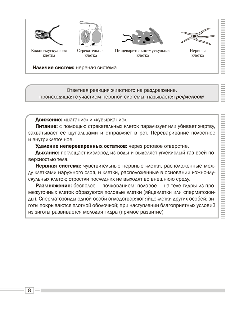 Биология. 8 класс. Опорные конспекты, схемы и таблицы