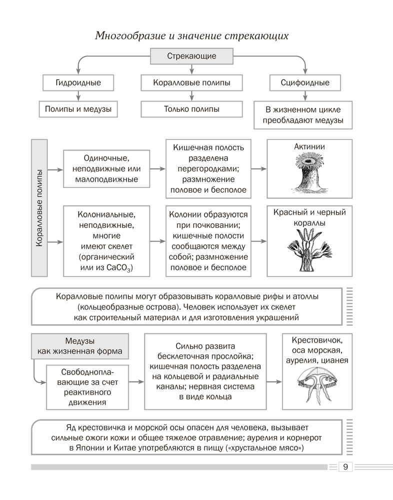 Биология. 8 класс. Опорные конспекты, схемы и таблицы