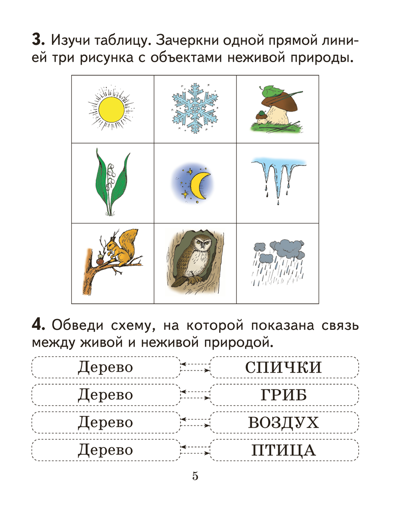 Человек и мир. 2 класс. Практикум