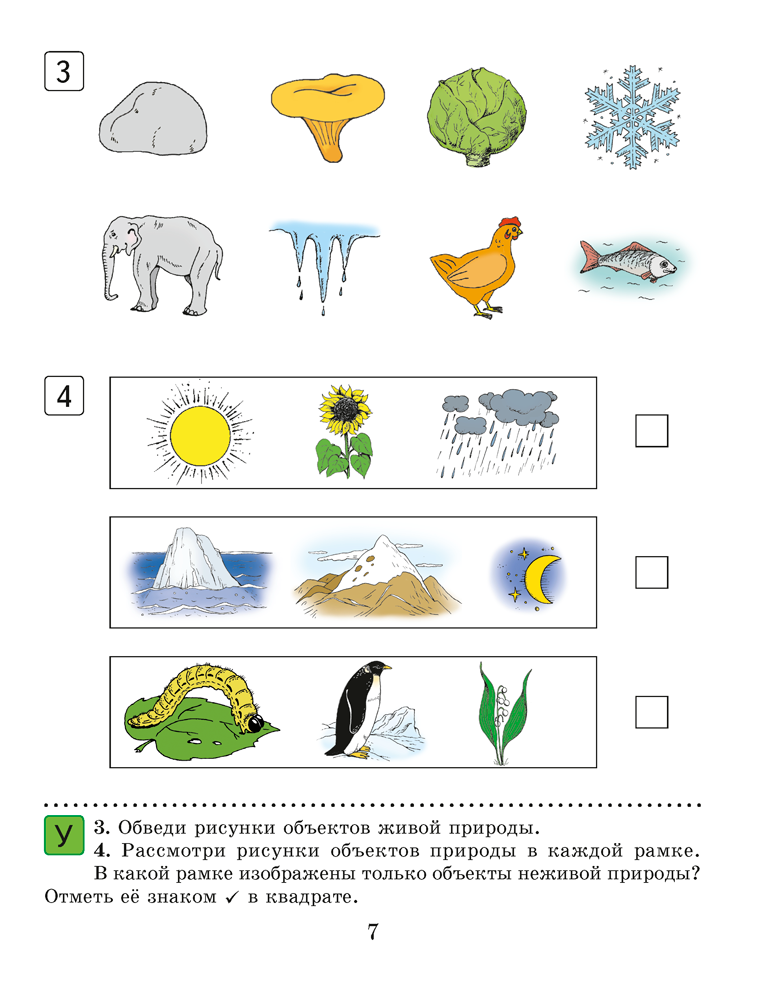Человек и мир. 1 класс. Практикум
