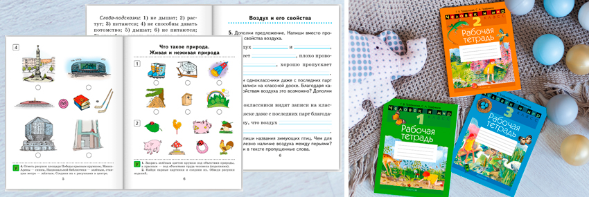 Помогаем учить: человек и мир