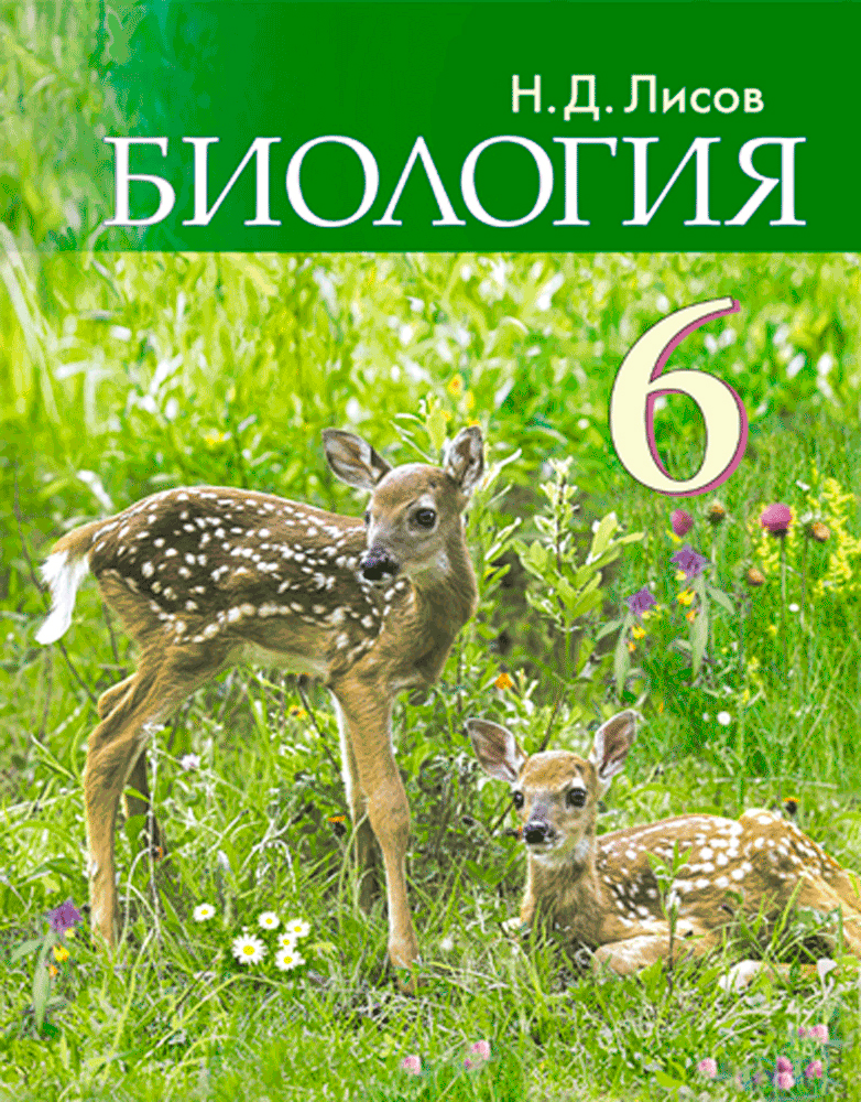 Биология. 6 класс